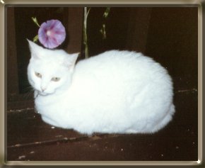 Casey and a flower