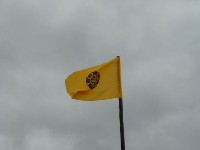 The Jacobites used a red and white standard, the government a yellow and black.