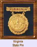 Virginia State Pin